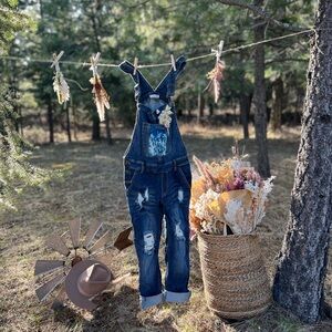 Stylish Blue Denim Overalls